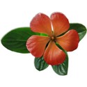 flower1_monkey-mikki