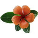 flower2_monkey-mikki