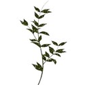leaf3_monkey-mikki
