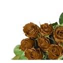 gold corner rose