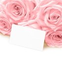 dusty rose background