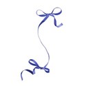 baby blue bow