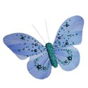 butterfly blue