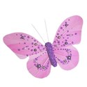 butterfly pink