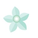 flower light blue