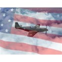 american fighter on flag background - Copy