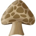 mushroom4