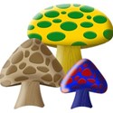 mushrooms3