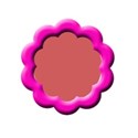 pink flower frame