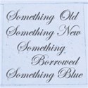 Something Borrowed Something blue preview copy