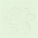 rose_green
