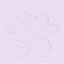 rose_violet