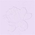 rose_violet