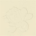 rose_tan