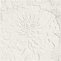 zinnia_cream