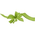 ribbon bow green