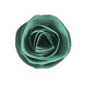 paperfloweraccentblue