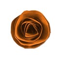 paperfloweraccentorange