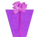 presentgirl3