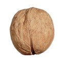 walnut