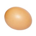 egg 1