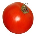 one tomato