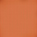 paper cardboard orange