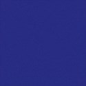Navy Textured