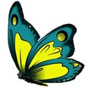 blue butterfly - Copy