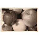 cookbook apples