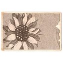 cookbook sunflower side