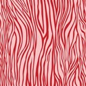 PP9-zebra_mikki