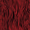 PP10-zebra_mikki