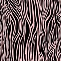 PP15-zebra_mikki