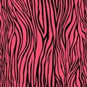 PP21-zebra_mikki