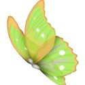 butterfly 6