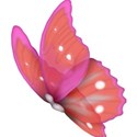 butterfly 7