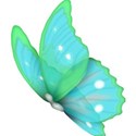 butterfly 8