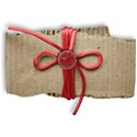 present4_holiday_mikki