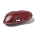 kidney bean 2