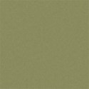 lisaminor_citeal_paper_n