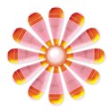 Daisy-05