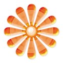 Daisy-07