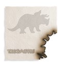 Burn_Paper_Triceratops