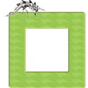 Frame-2