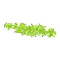 confettigreen