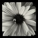 flowerbw