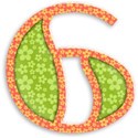 6