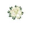 white rose and ferns