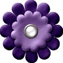 flowerpurple